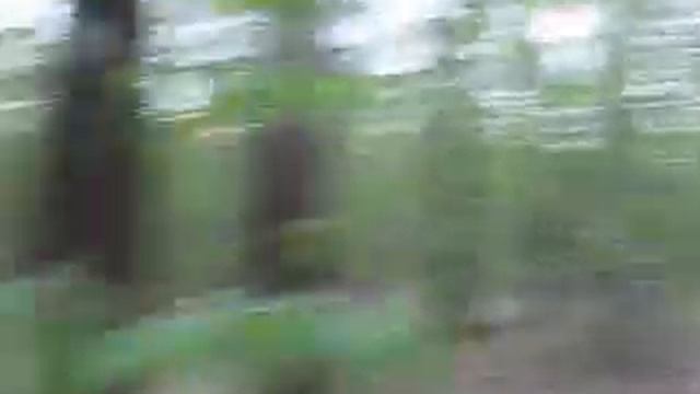 Радиопульт для Canon EOS. Клип 2. смотреть онлайн