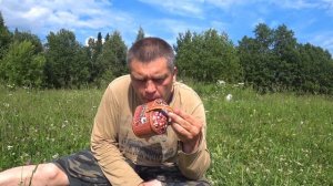 Спастись от комаров в тайге поможет простое средство ...