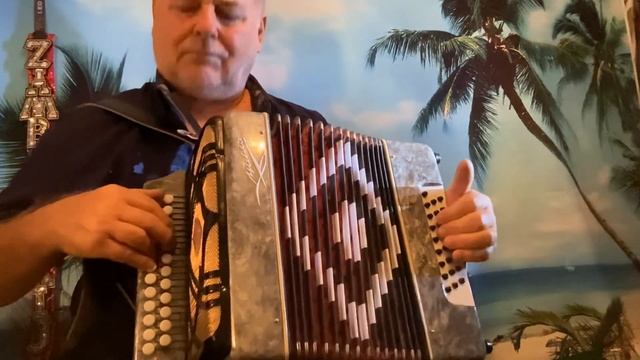 купить гармонь Шуйская"ЧАЙКА" в Германии * 380€* tel 0176 763 57953 смотреть онлайн