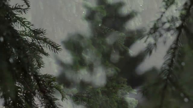 Сильный дождь. Глубокий сон и расслабление с сильным дождем. смотреть онлайн