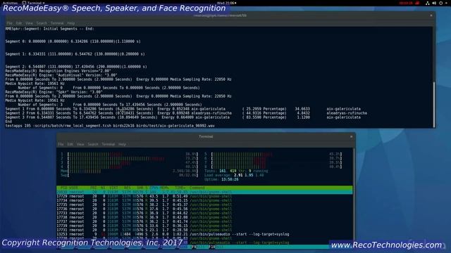 RecoMadeEasy® AudioVisual Recognition Demonstration смотреть онлайн