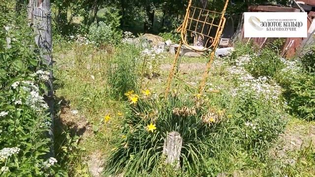 Дачка на участке 8.6 соток со скважиной и электричеством в СНТ Швейник, город Александров смотреть онлайн