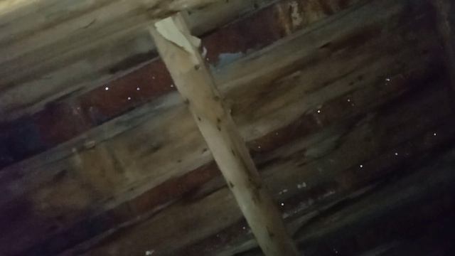 Зимовка под крышей. Гибель пчёл от голода 2021. Где лучше зимуют пчёлы. смотреть онлайн