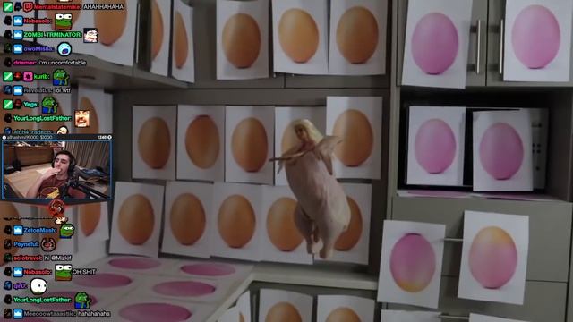 Shroud Reacts To HowToBasic