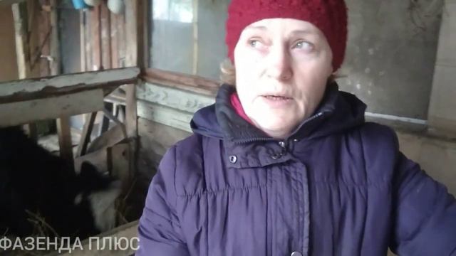 Утка на куриных яйцах -2 смотреть онлайн