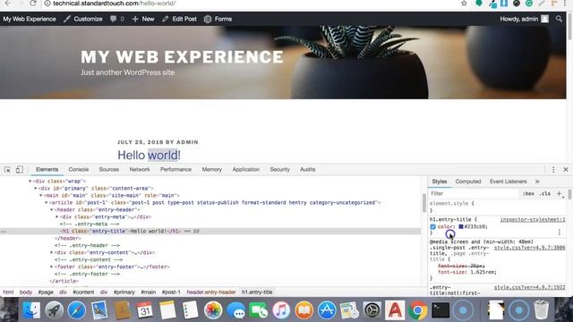 How to Add Custom CSS In Wordpress смотреть онлайн