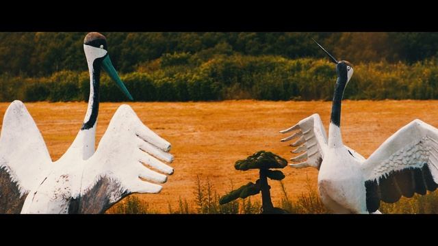 Sigma 56mm F1.4 DC DN + Sony A6400 | Day and Night смотреть онлайн