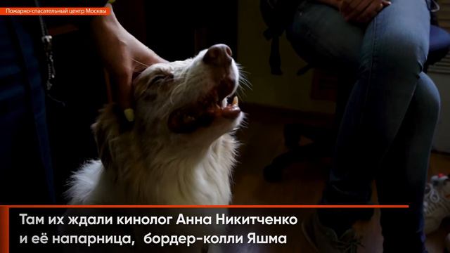 ProГероев. Экскурсия в АСО №6 смотреть онлайн