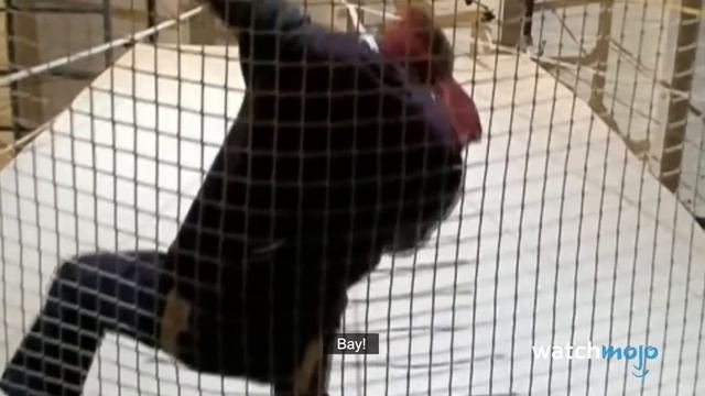 ТОП 10 Самых Странных Опровергнутых Мифов Из Разрушителей Легенд смотреть онлайн