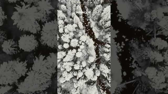 Новогодние стихи 2022, открытки смотреть онлайн