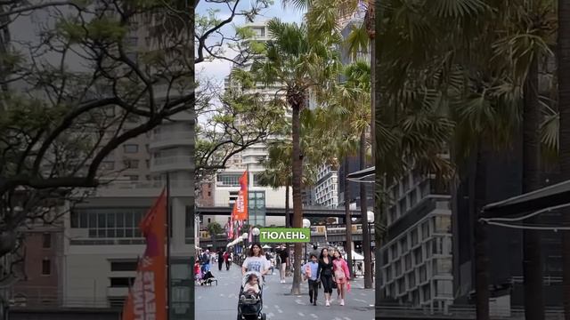 Сидней - не столица Австралии. Три дня в Сиднее. смотреть онлайн