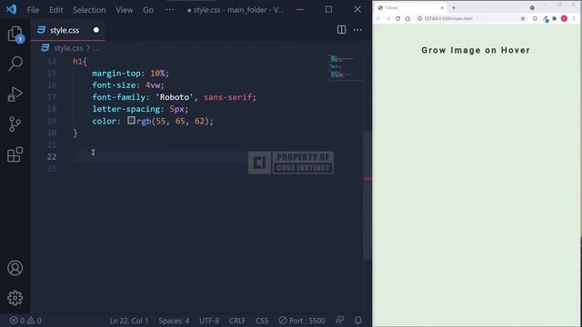 Image Grow on Hover using HTML and CSS смотреть онлайн