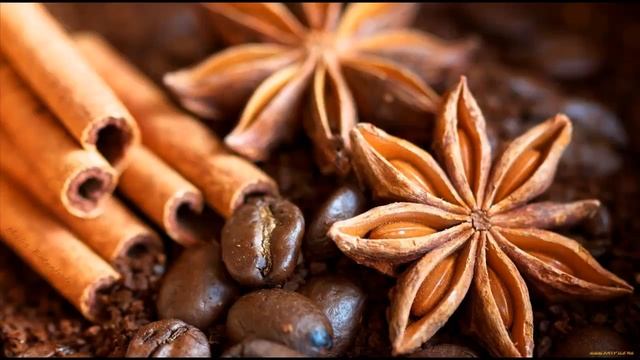 Dolchin Корица haqida смотреть онлайн