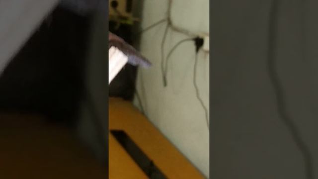 Бабочки Зимой смотреть онлайн