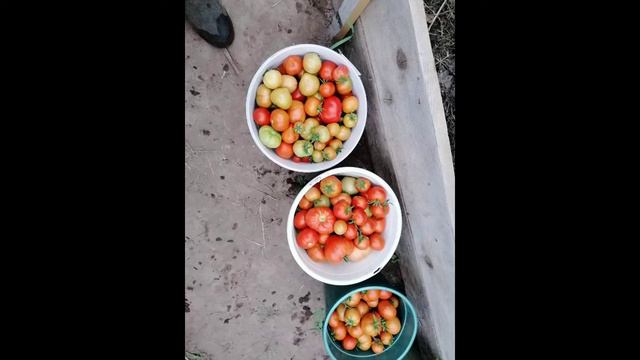 Мгновения уходящего лета. смотреть онлайн