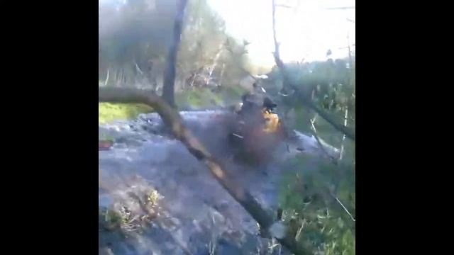 Сольцы новгородская обл. смотреть онлайн