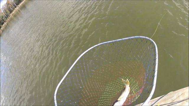 Ловля щуки на Джиг, Сузун. смотреть онлайн