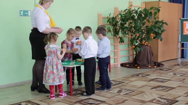 Открытое занятие в старшей группе по развитию мелкой моторики смотреть онлайн
