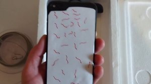 Эхолот и камера больше не нужны! Как узнать ,есть ли рыба в водоёме? Как определить рыбное место?