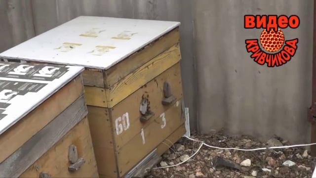 Подготовка к делению на пол-лёта смотреть онлайн