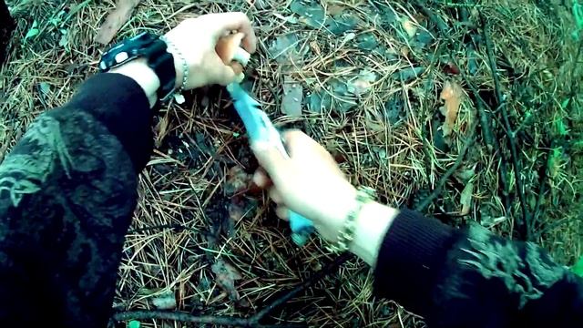 В лес по грибы смотреть онлайн