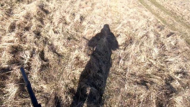 шел на утку встретил Гуся (патроны 7 ка Последний патрон 1 ) смотреть онлайн
