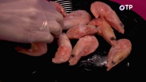 КРЕВЕТКИ | СРЕДА ОБИТАНИЯ