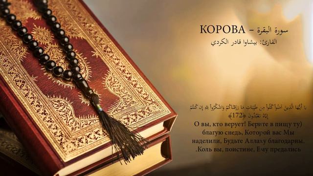 سورة البقرة كاملة بصوت بيشةوا قادر الكردى | Сура Корова | Sourate Al Baqara 2021 смотреть онлайн