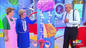 Жить здорово! Выпуск от 12.04.2018