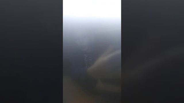 планшет DEXP URSUS B18 смотреть онлайн