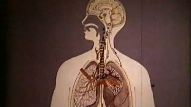 Причины острой дыхательной недостаточности © Acute respiratory failure смотреть онлайн