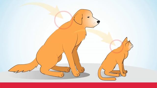 Как наносить Стронгхолд смотреть онлайн