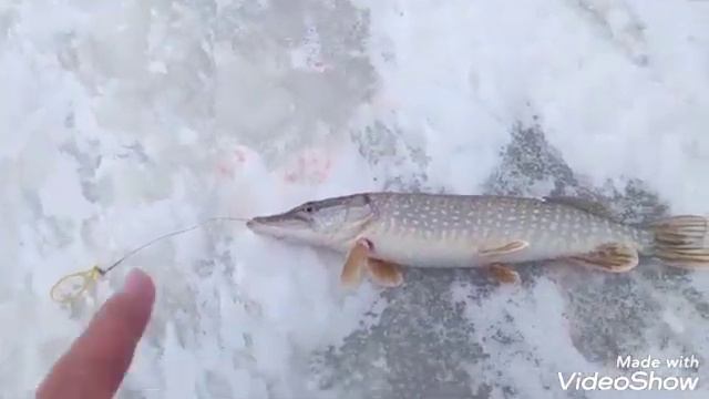 Рыбалка в ветреную погоду смотреть онлайн