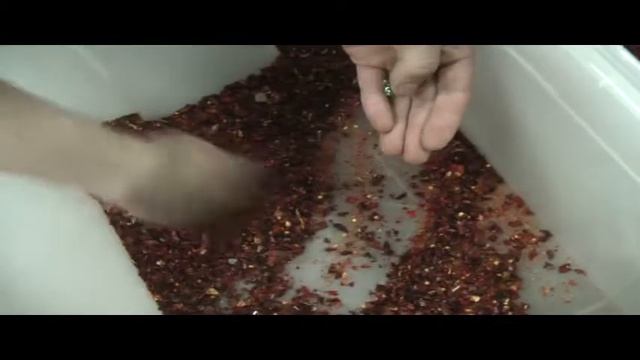 Сортировка сушеных овощей. Перец сушеный. CSort Color Sorter