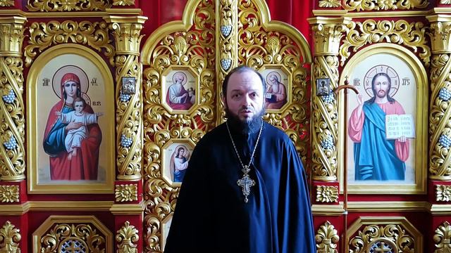 О злых виноградарях 15 09 2019 смотреть онлайн