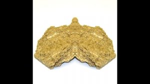 Халва Вред или польза? Все о халве и ее влиянии на наше здоровье