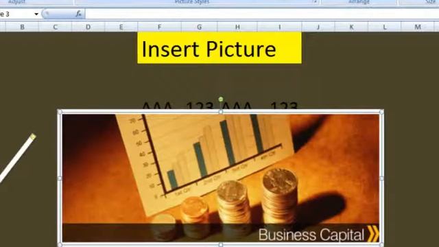 Lesson 45 The Insert Picture Style Microsoft Office Excel 2007 2010 Free Educational Video Training