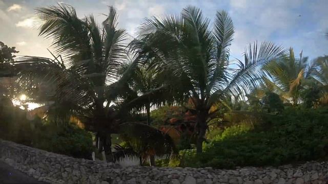 Punta Cana (Hard Rock Cafe) [Part 3] - Santo Domingo + pool смотреть онлайн