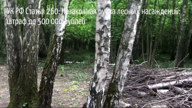 Беспредел на ООПТ Ландшафтный заказник Теплый Стан в Москве