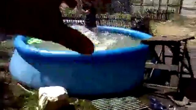 оса укусила смотреть онлайн