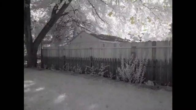 near infrared time lapse test canon a2500 смотреть онлайн