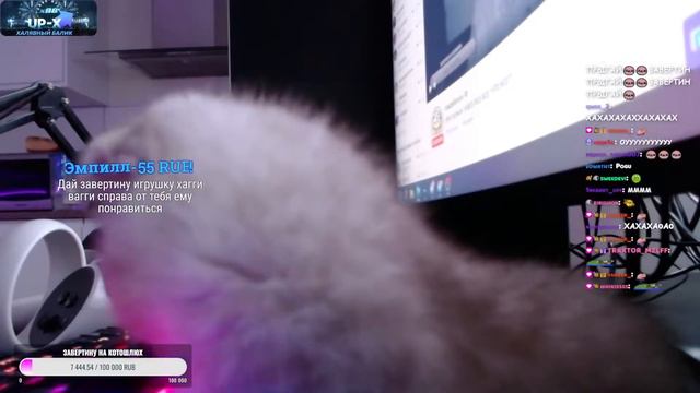 ОЧЕНЬ КРАСИВЫЙ ЗАВЕРТИН ПОДСЕЛ К ЧАТУ смотреть онлайн