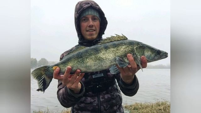 Топ 5: виброхвосты для ловли судака/ Лучшие приманки. смотреть онлайн