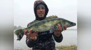 Топ 5: виброхвосты для ловли судака/ Лучшие приманки.