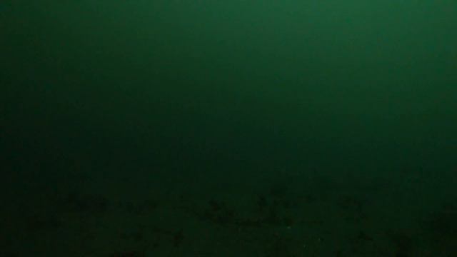 В бухте Воевода подо льдом на 13 метрах смотреть онлайн