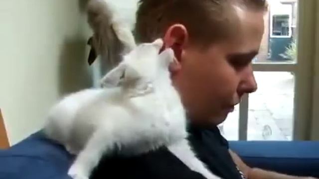 You're such cool / Ты такой клёвый смотреть онлайн