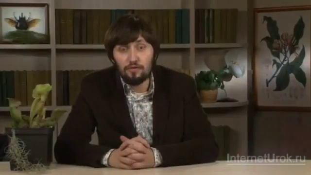 08 Видоизменения листа смотреть онлайн