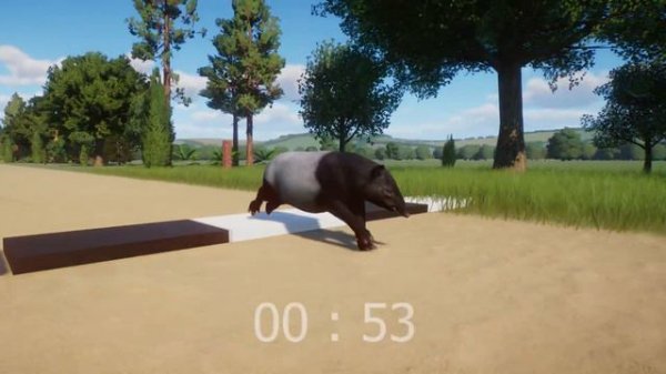African VS Asian Animals Speed Races in Planet Zoo included Elephant, Rhino, Tapir, Giraffe & etc