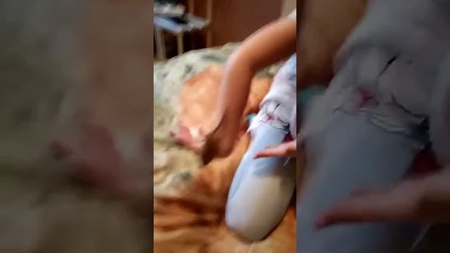 Лесная ореховая соня смотреть онлайн