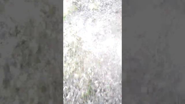 Забор в деревне своими руками смотреть онлайн